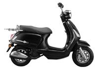 Long Journey Cruiser Scooter: OEM/ODM Opportunities for Manufacturers